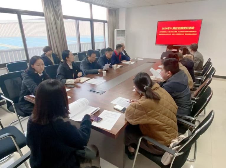 深入學習黨的二十屆三中全會精神，開展主題黨日活動